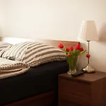 Apartament Witawa 22